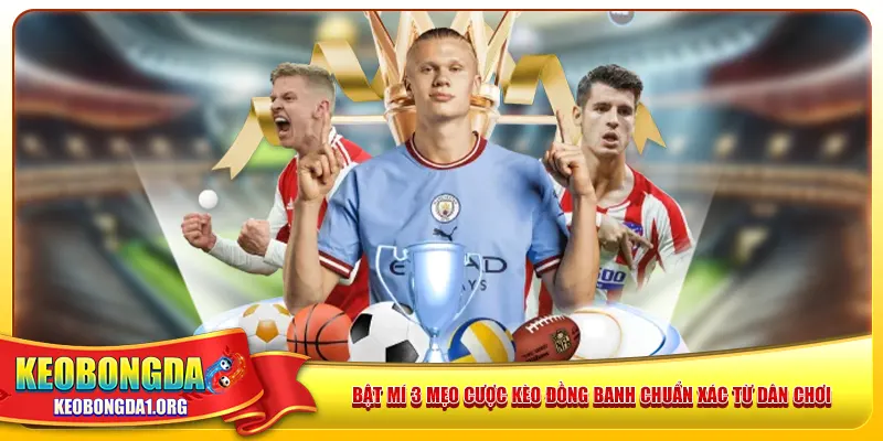 Bật mí 3 mẹo cược kèo đồng banh chuẩn xác từ dân chơi
