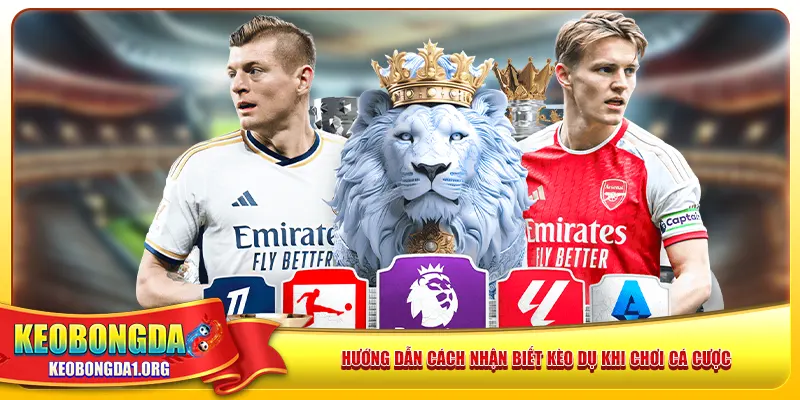 Hướng dẫn cách nhận biết kèo dụ khi chơi cá cược