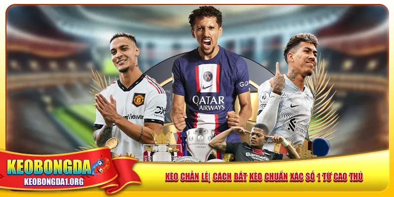 keo-chan-le-cach-bat-keo-chuan-xac-so-1-tu-cao-thu-