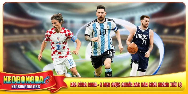keo-dong-banh-3-meo-cuoc-chuan-xac-dan-choi-khong-tiet-lo