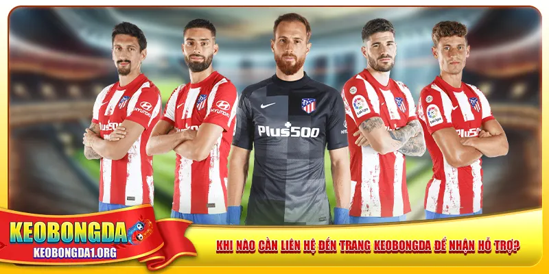 Khi nào cần liên hệ đến trang keobongda để nhận hỗ trợ?
